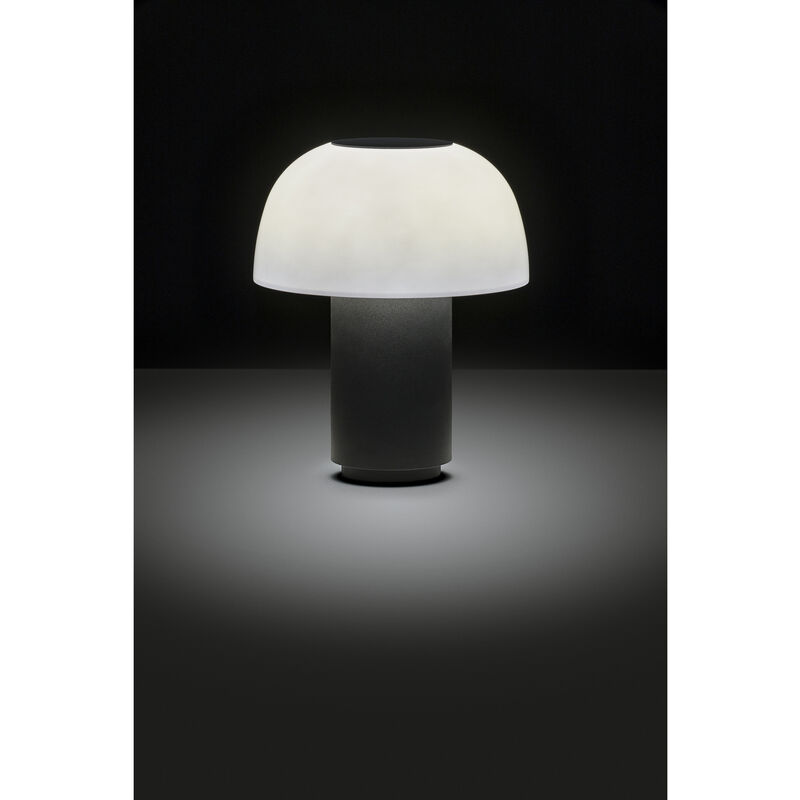 Harvest Moon Lamp Harvest Moon Lamp