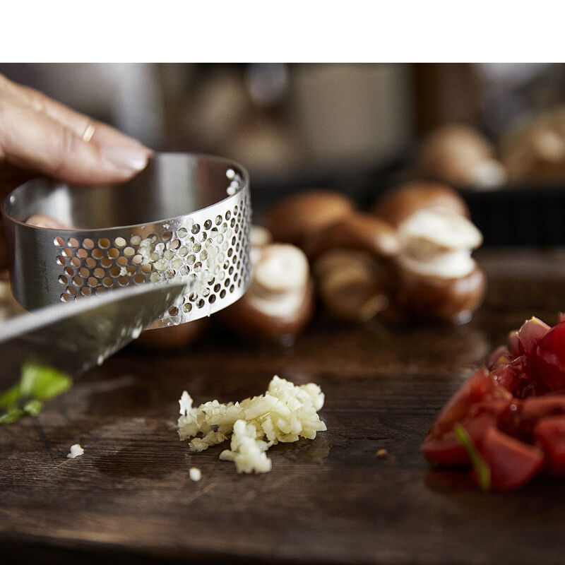 Singles Knoblauchpresse