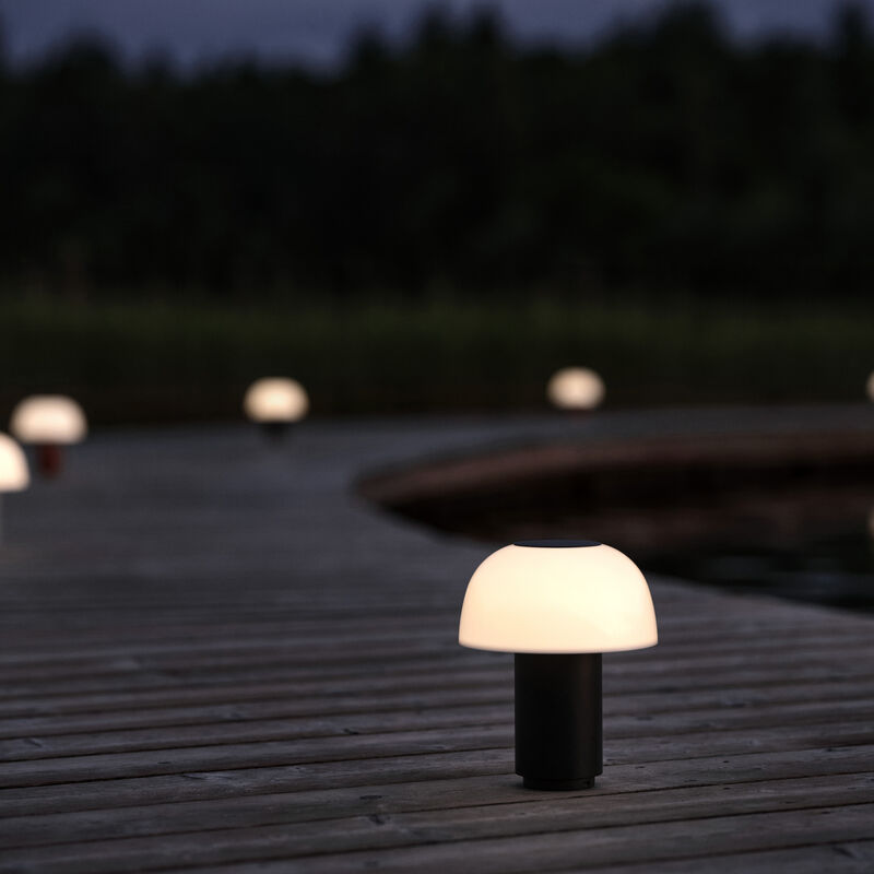 Harvest Moon Lampe