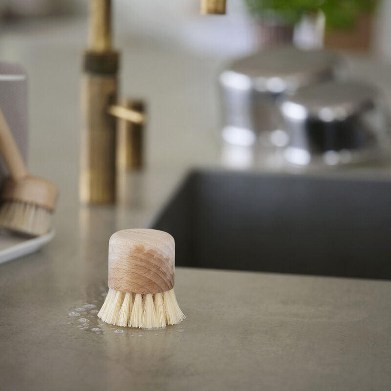 Inu Brosse &agrave; casserole