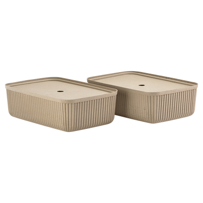 Pulp Storage box 2 pcs Pulp Storage box 2 pcs