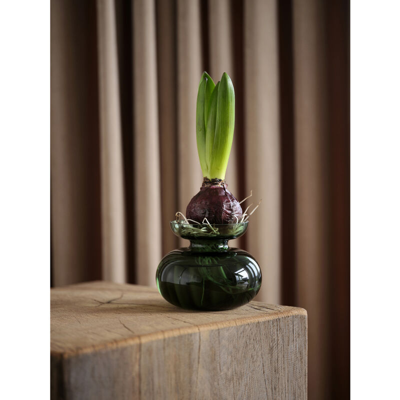 Inu Vase